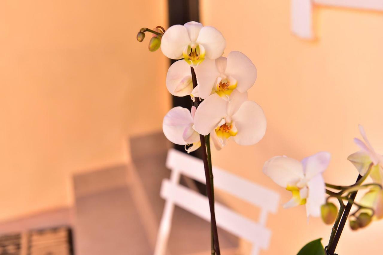 Casa Soare - Ultracentral Guesthouse Sibiu Bagian luar foto
